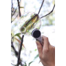 Лупа LEVENHUK ZENO 400, 2/4×, 88/21 мм, 2 LED, металл 38118