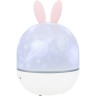 Астропланетарий LEVENHUK STAR SKY P1 80337
