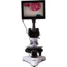 Цифровой тринокулярный микроскоп LEVENHUK MED D25T LCD 73995