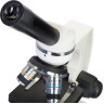 Микроскоп LEVENHUK DISCOVERY FEMTO POLAR с книгой 77983