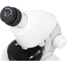 Микроскоп LEVENHUK DISCOVERY MICRO POLAR с книгой 77952