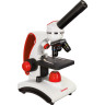 Микроскоп LEVENHUK DISCOVERY PICO TERRA с книгой 77974
